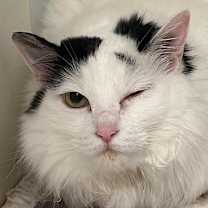 Thumbnail photo of Bobbi #2