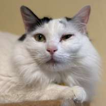 Thumbnail photo of Bobbi #3