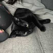 Thumbnail photo of Spooky/ Po #3