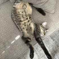 Thumbnail photo of Spooky/ Po #4