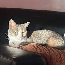 Thumbnail photo of Elody "Ellie" #1