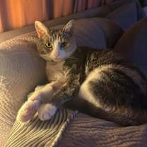 Thumbnail photo of Elody "Ellie" #4