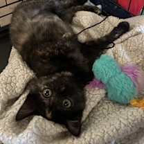 Thumbnail photo of Camilla #1