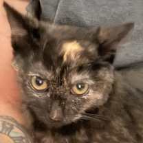 Thumbnail photo of Camilla #3