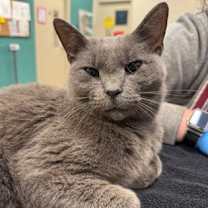 Thumbnail photo of Beast #1