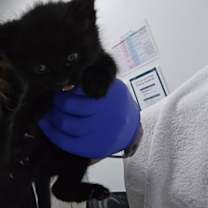 Thumbnail photo of Tyler 3 #2