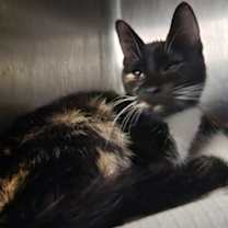 Thumbnail photo of Paulette #2