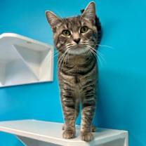 Thumbnail photo of Arcade #1