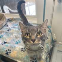 Thumbnail photo of Arcade #2