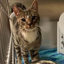 Thumbnail photo of 12/26/25 #1