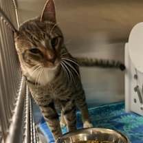 Thumbnail photo of 12/26/25 #2