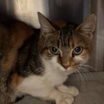 Thumbnail photo of Mable-Stratford #1