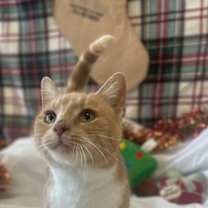 Thumbnail photo of Clementine #1