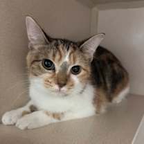 Thumbnail photo of Mystery #3