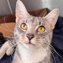 Thumbnail photo of Titan #1