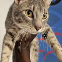 Thumbnail photo of Titan #2