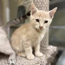 Thumbnail photo of Ghost #2