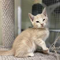 Thumbnail photo of Ghost #3