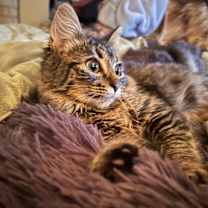 Thumbnail photo of Becca #3