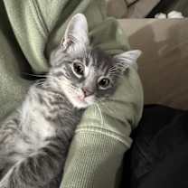 Thumbnail photo of Roxy #2