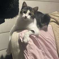 Thumbnail photo of Squishie #1