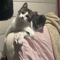 Thumbnail photo of Squishie #3