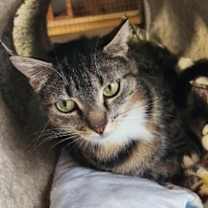 Thumbnail photo of Joy #2