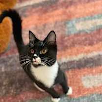 Thumbnail photo of Madison #3