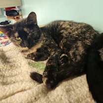 Thumbnail photo of Babs #3