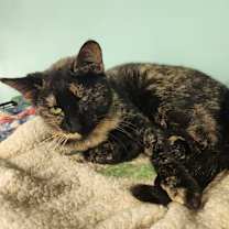 Thumbnail photo of Babs #4