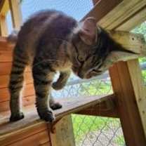 Thumbnail photo of Ruthie #3