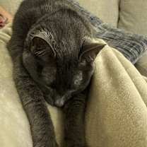 Thumbnail photo of Ollie Mae #4