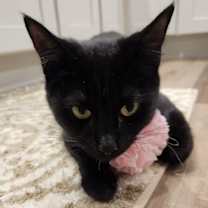 Thumbnail photo of Meredith #4