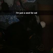 Thumbnail photo of Chip #4