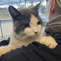 Thumbnail photo of Oddball #2