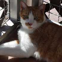 Thumbnail photo of Roary #2