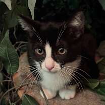 Thumbnail photo of Jasmine  #1