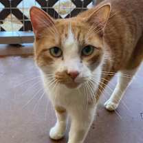 Thumbnail photo of Roary #4