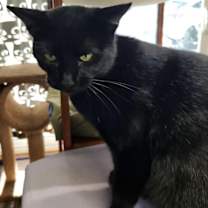 Thumbnail photo of Peak #3