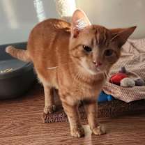 Thumbnail photo of Doc Holliday #1