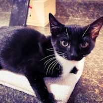 Thumbnail photo of Sue #2