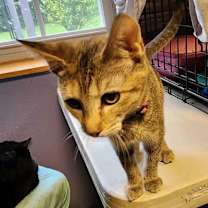 Thumbnail photo of Spunky #3