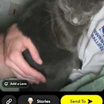 Thumbnail photo of Grey #2