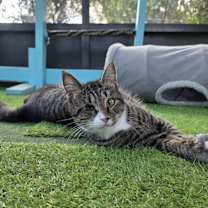 Thumbnail photo of Sabrina #1