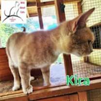 Thumbnail photo of Kira #2