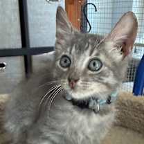 Thumbnail photo of Miles  #2