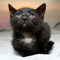 Thumbnail photo of Sarah #2