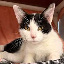 Thumbnail photo of Chloe Jane #1