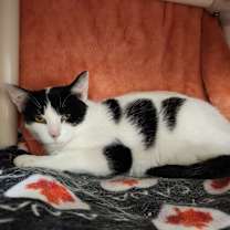 Thumbnail photo of Chloe Jane #3