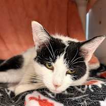 Thumbnail photo of Chloe Jane #4